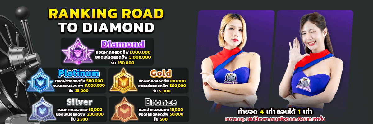banner pc temmax69