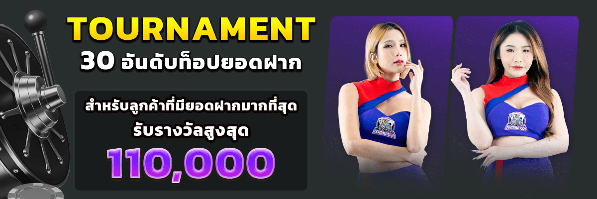banner pc temmax69