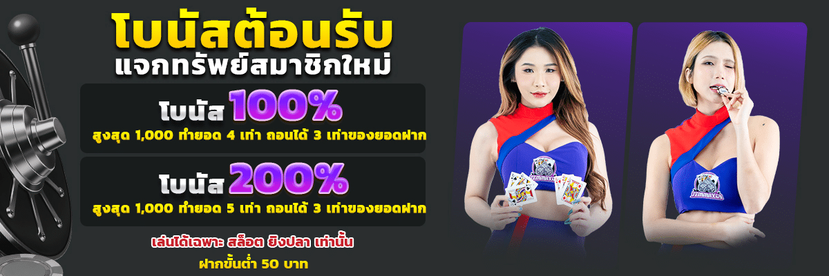 banner pc temmax69