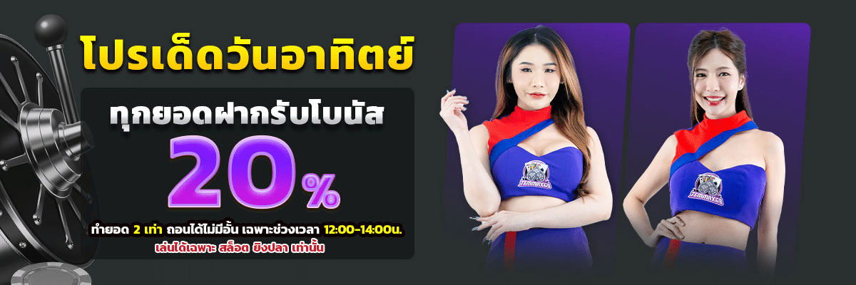 banner pc temmax69